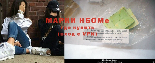 гашик Пестово