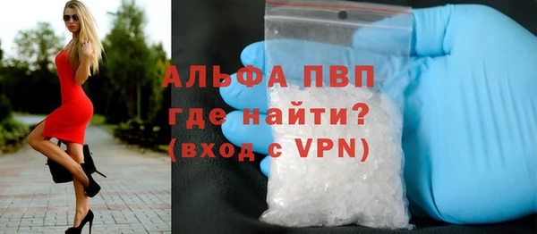 гашик Пестово