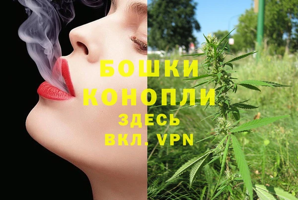 гашик Пестово