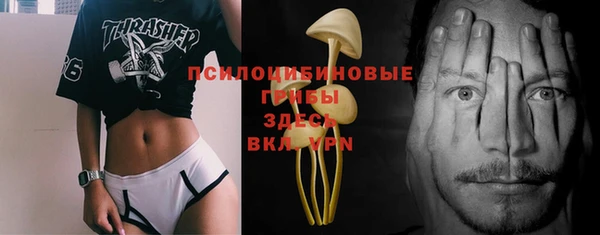 гашик Пестово