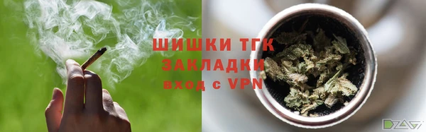 гашик Пестово
