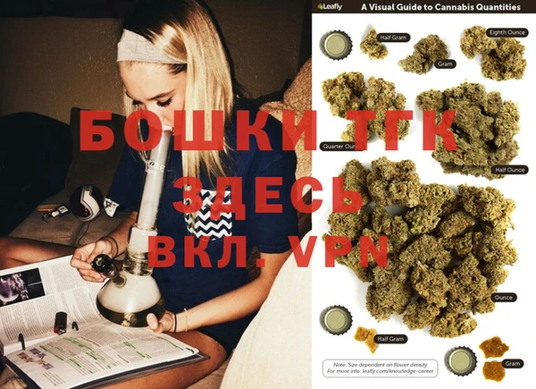 гашик Пестово
