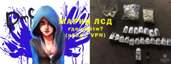 гашик Пестово