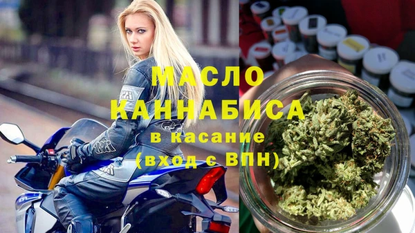 гашик Пестово