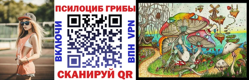 Псилоцибиновые грибы мицелий Купить Исилькуль